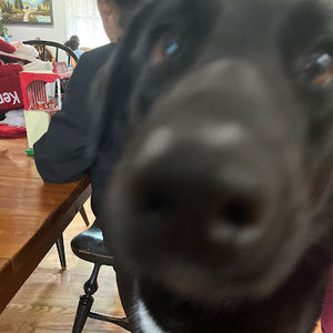 Meet your Posher, Skylar